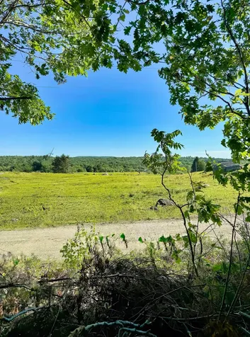 519 Snow's Cove Road Sedgwick ME 04676