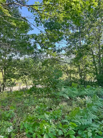 519 Snow's Cove Road Sedgwick ME 04676