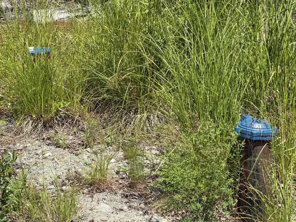 Lot 3 Tilden Way Lamoine ME 04605