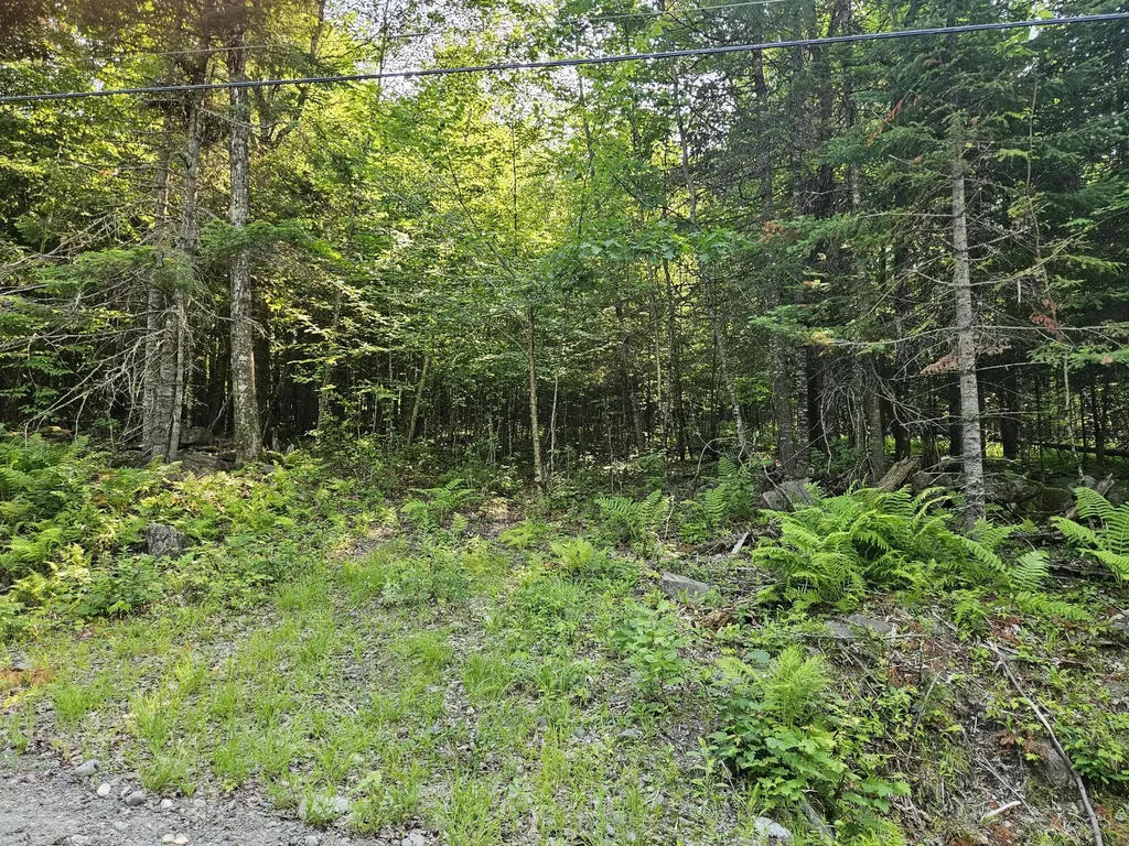 Lot 2-a Rips Road Brownville ME 04414