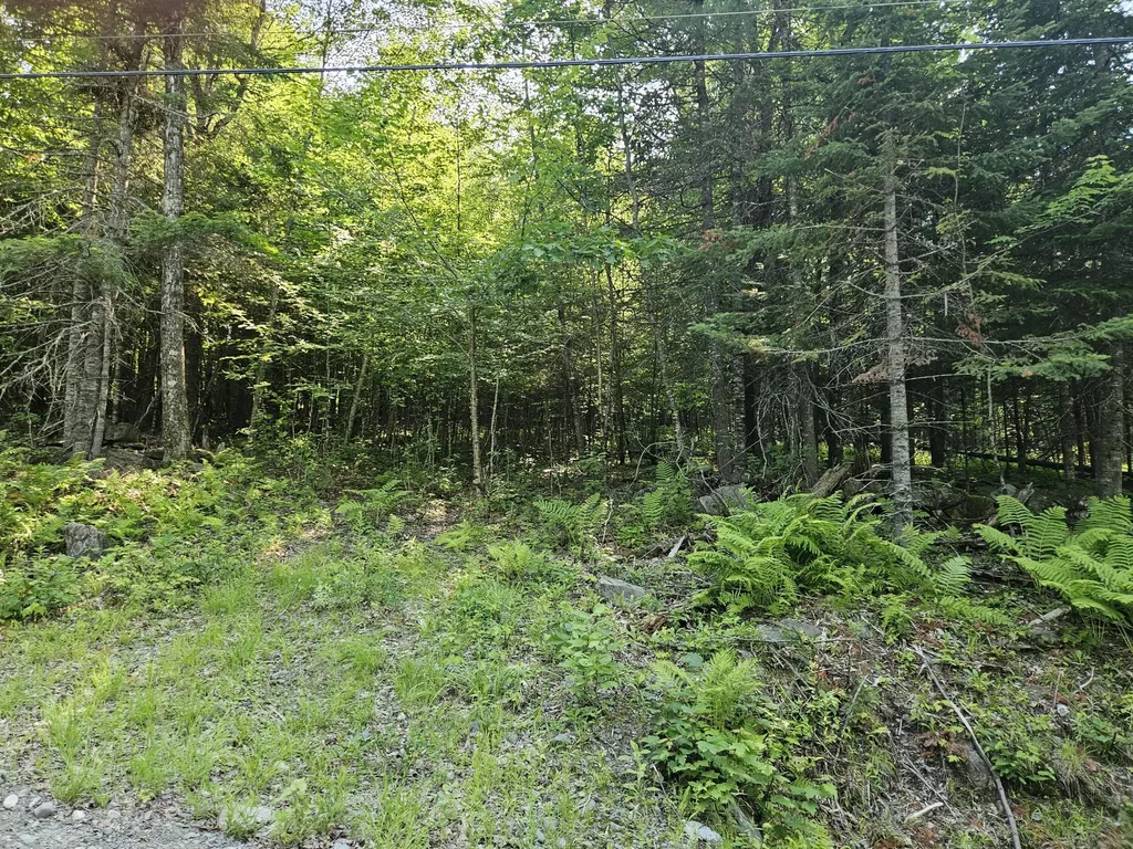 Lot 2-a Rips Road Brownville ME 04414