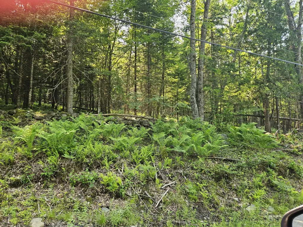 Lot 2-a Rips Road Brownville ME 04414