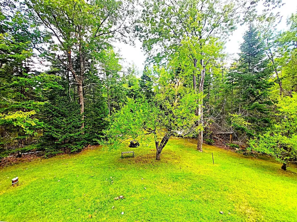 372 Forest Avenue Orono ME 04473