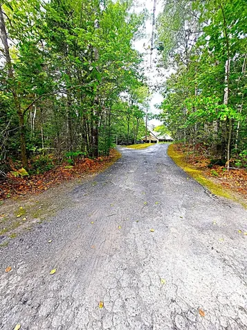 372 Forest Avenue Orono ME 04473