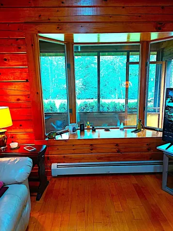372 Forest Avenue Orono ME 04473