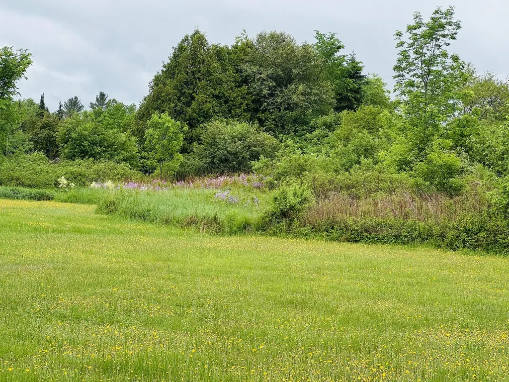 219 Shin Pond Road Patten ME 04765