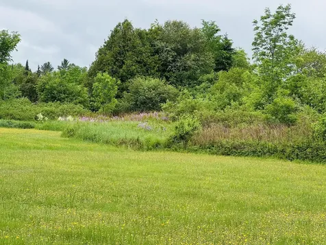 219 Shin Pond Road Patten ME 04765