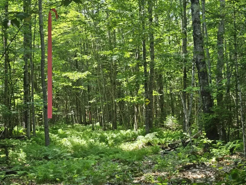 5 Farmington Falls/route 2 Road New Sharon ME 04955