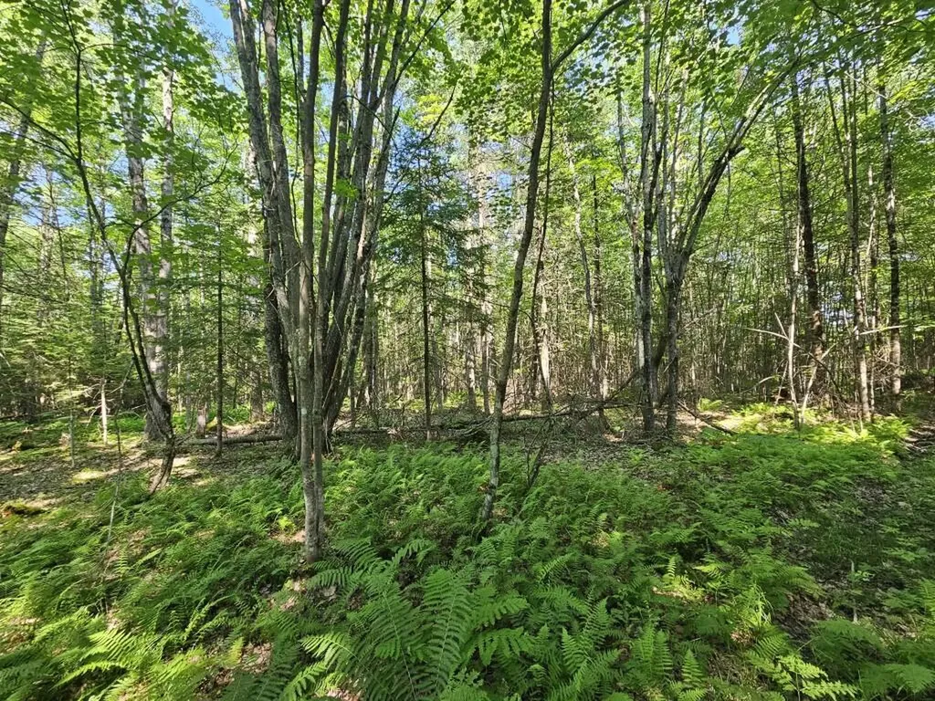 5 Farmington Falls/route 2 Road New Sharon ME 04955