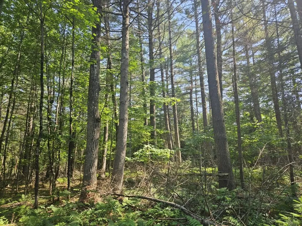 5 Farmington Falls/route 2 Road New Sharon ME 04955