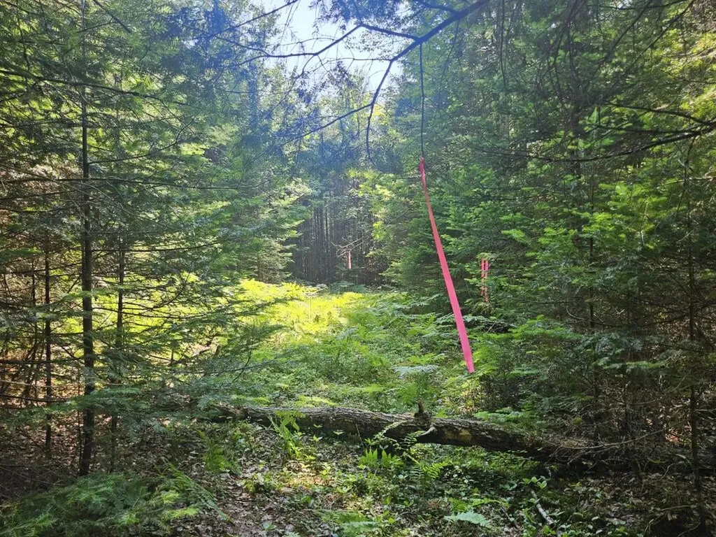 5 Farmington Falls/route 2 Road New Sharon ME 04955