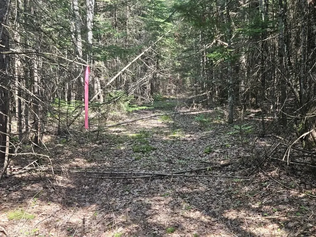 5 Farmington Falls/route 2 Road New Sharon ME 04955