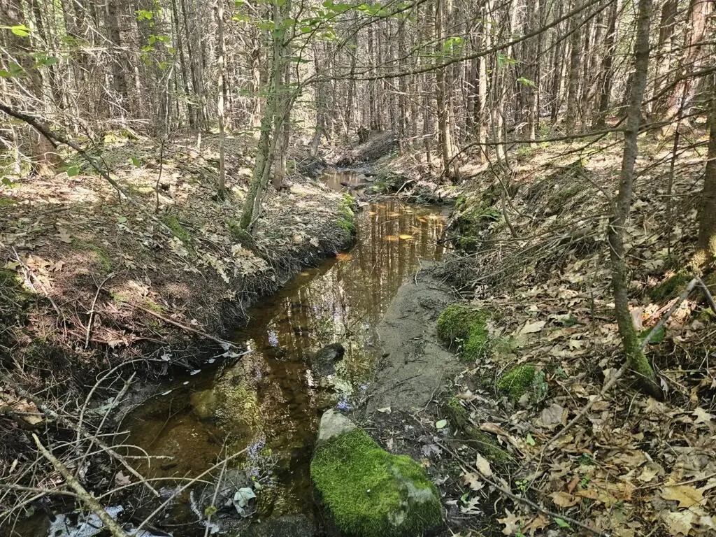 5 Farmington Falls/route 2 Road New Sharon ME 04955