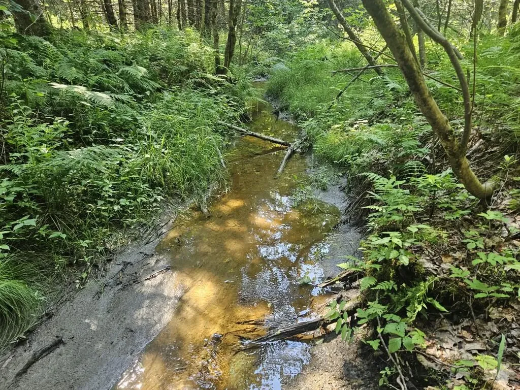 5 Farmington Falls/route 2 Road New Sharon ME 04955