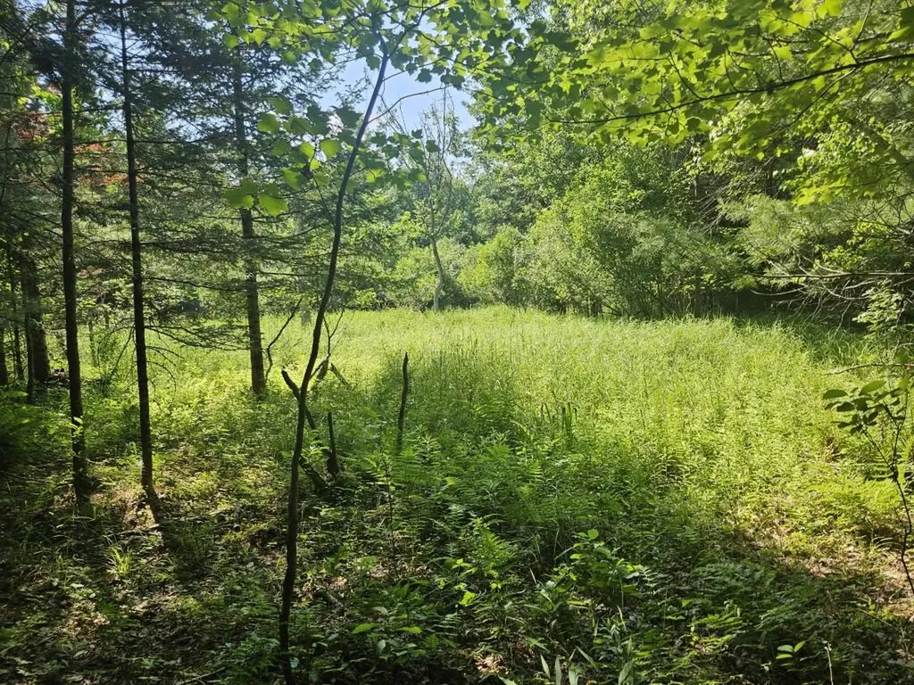 5 Farmington Falls/route 2 Road New Sharon ME 04955