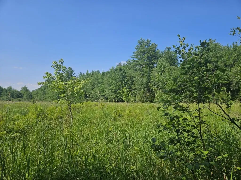 5 Farmington Falls/route 2 Road New Sharon ME 04955