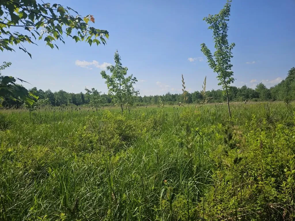 5 Farmington Falls/route 2 Road New Sharon ME 04955