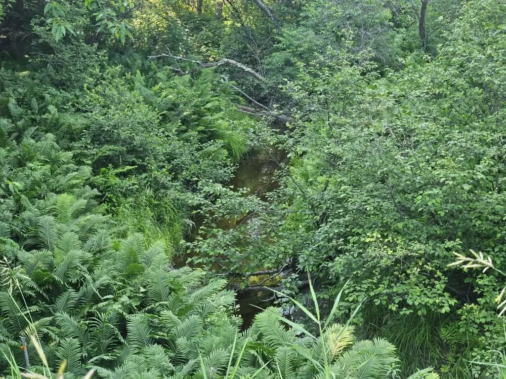 5 Farmington Falls/route 2 Road New Sharon ME 04955