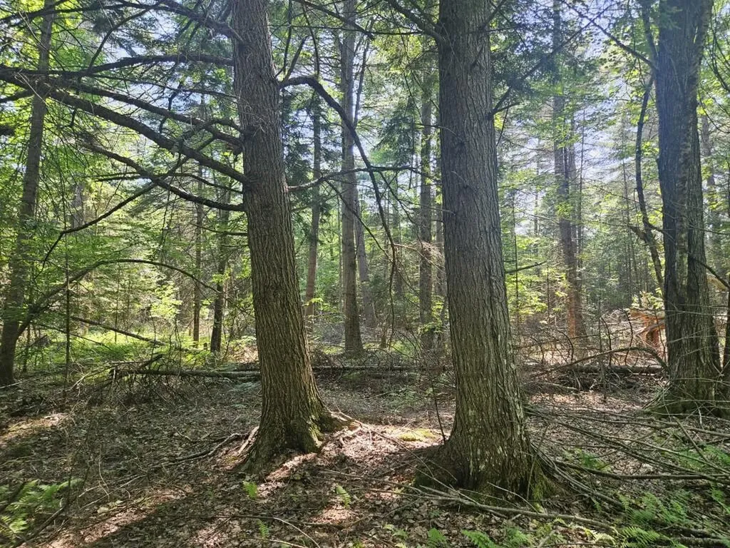 5 Farmington Falls/route 2 Road New Sharon ME 04955
