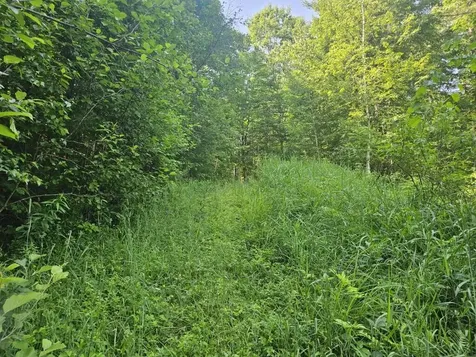5 Farmington Falls/route 2 Road New Sharon ME 04955