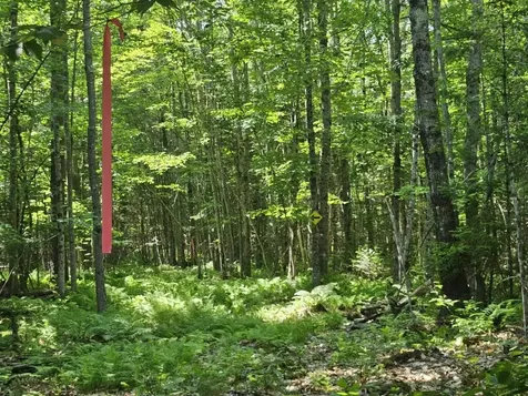 5 Farmington Falls/route 2 Road New Sharon ME 04955