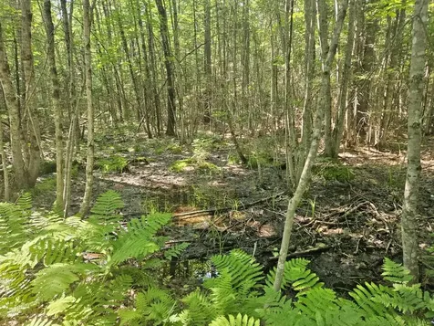 5 Farmington Falls/route 2 Road New Sharon ME 04955