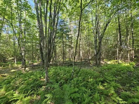 5 Farmington Falls/route 2 Road New Sharon ME 04955