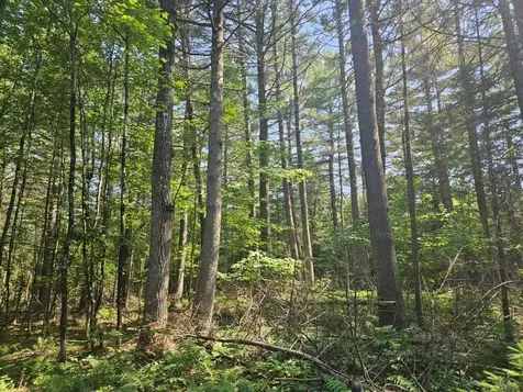 5 Farmington Falls/route 2 Road New Sharon ME 04955