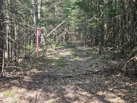 5 Farmington Falls/route 2 Road New Sharon ME 04955