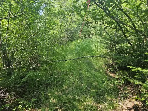 5 Farmington Falls/route 2 Road New Sharon ME 04955
