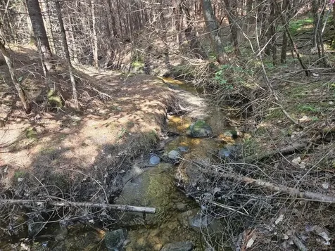 5 Farmington Falls/route 2 Road New Sharon ME 04955