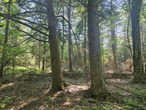 5 Farmington Falls/route 2 Road New Sharon ME 04955