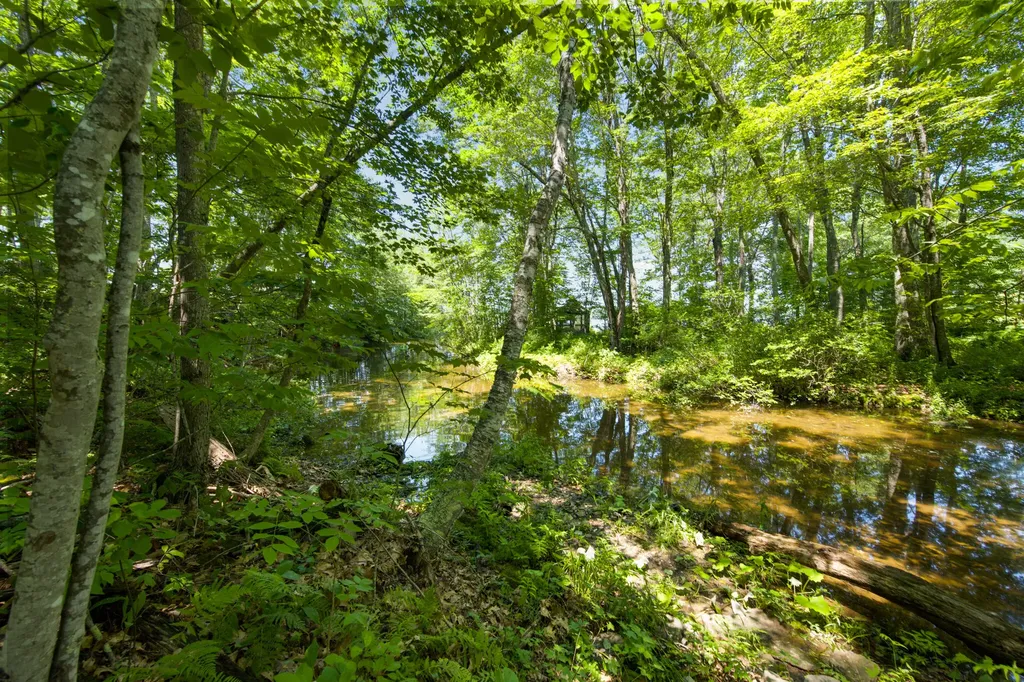 1 Dakin Lane Searsport ME 04974