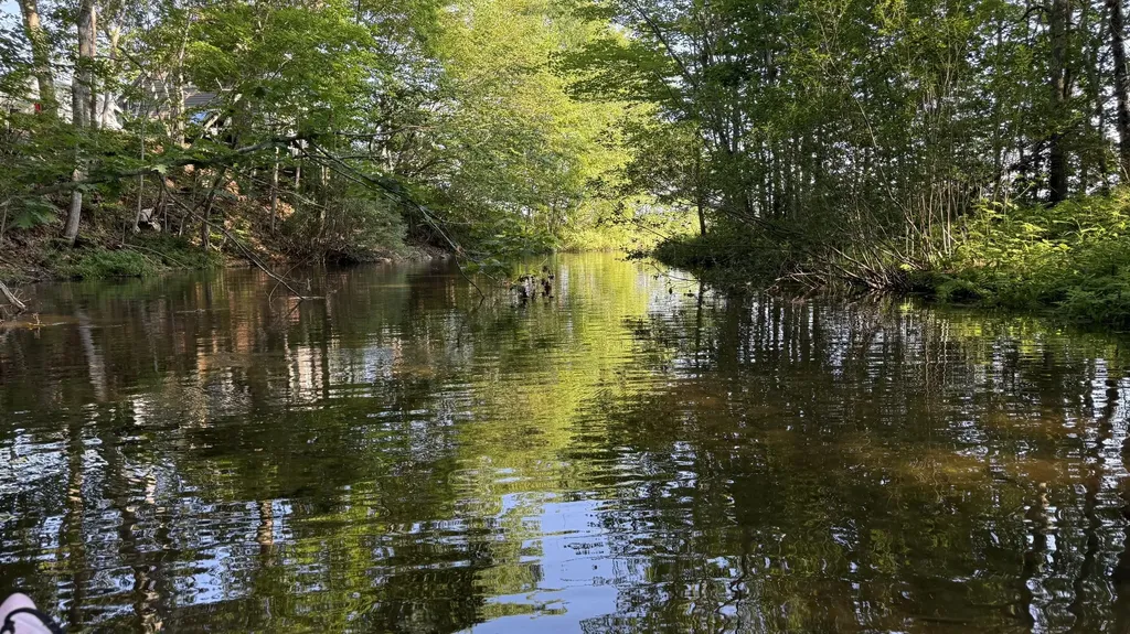 1 Dakin Lane Searsport ME 04974