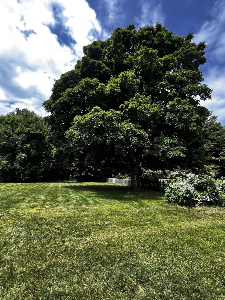 66 Howard Street Bangor ME 04401