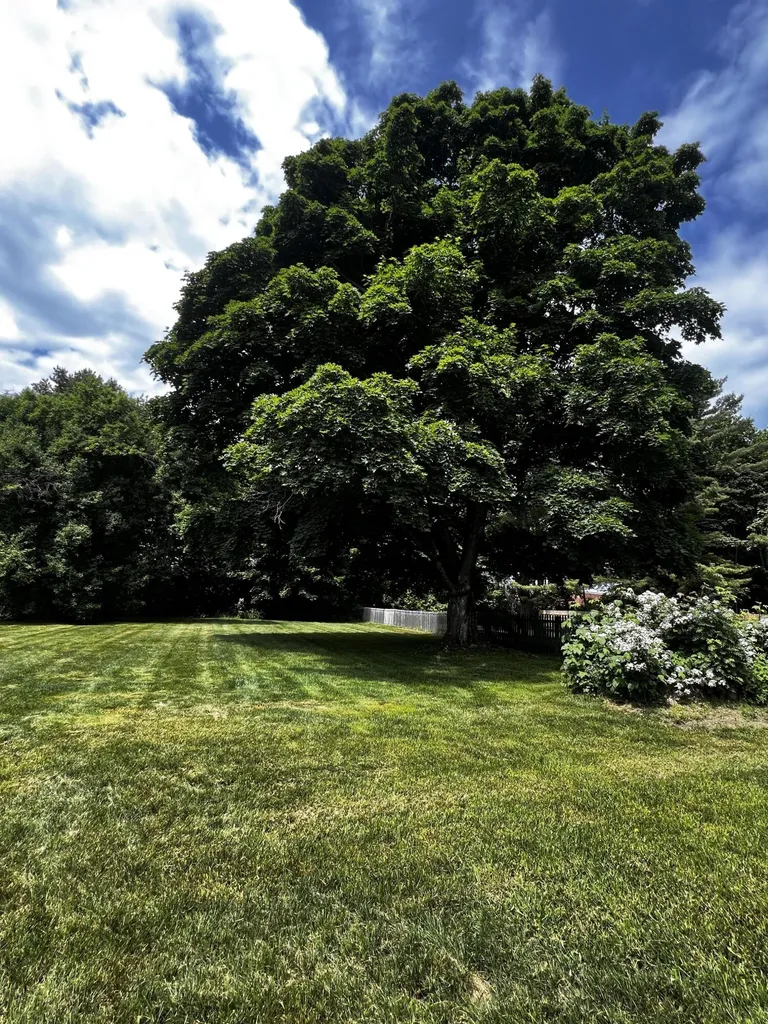 66 Howard Street Bangor ME 04401