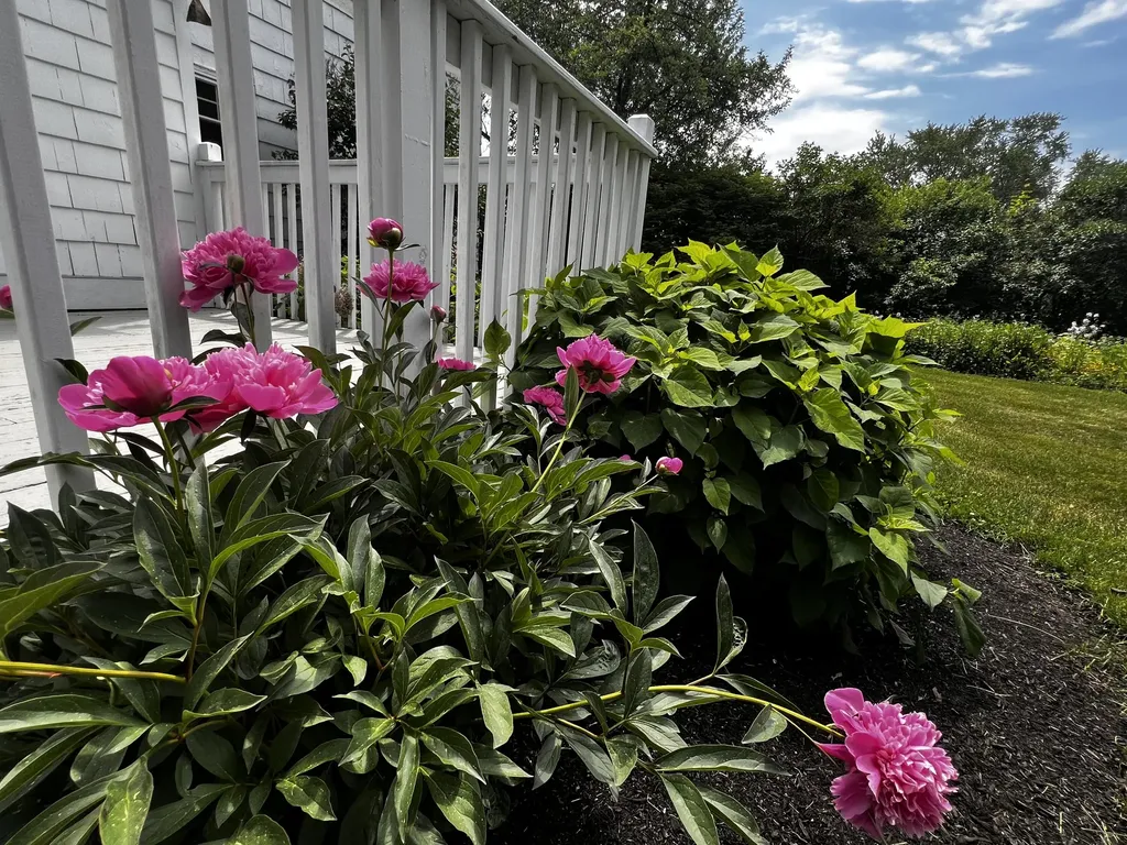 66 Howard Street Bangor ME 04401