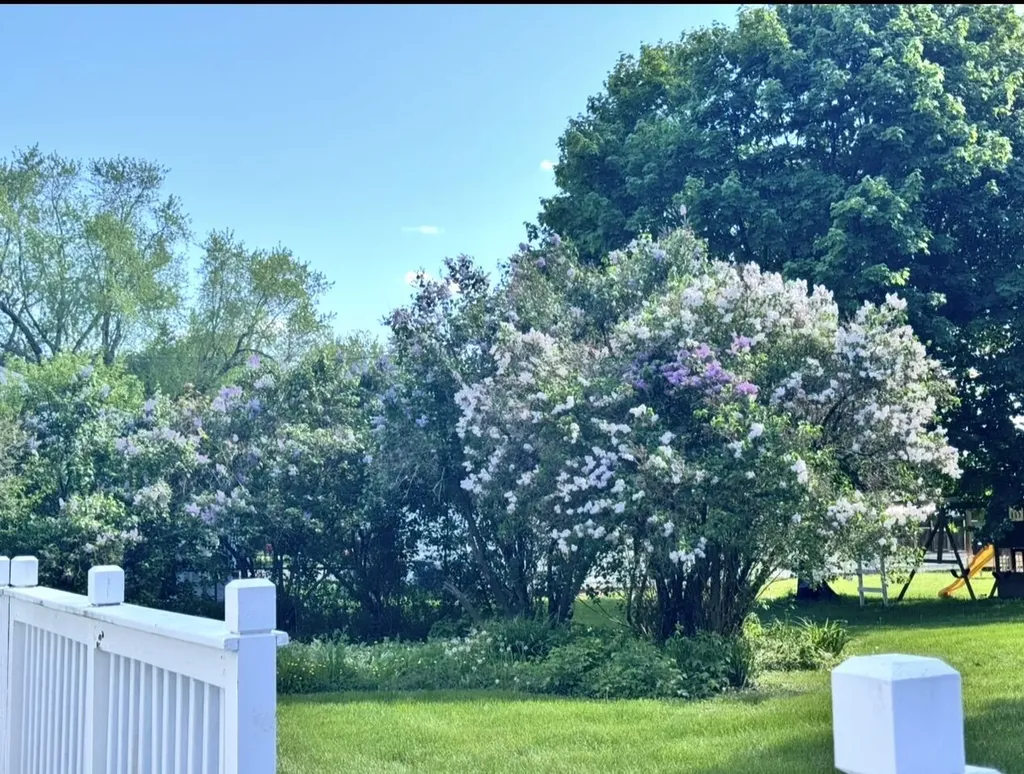66 Howard Street Bangor ME 04401