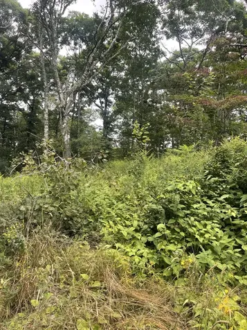 0 Poore Road Boothbay ME 04544