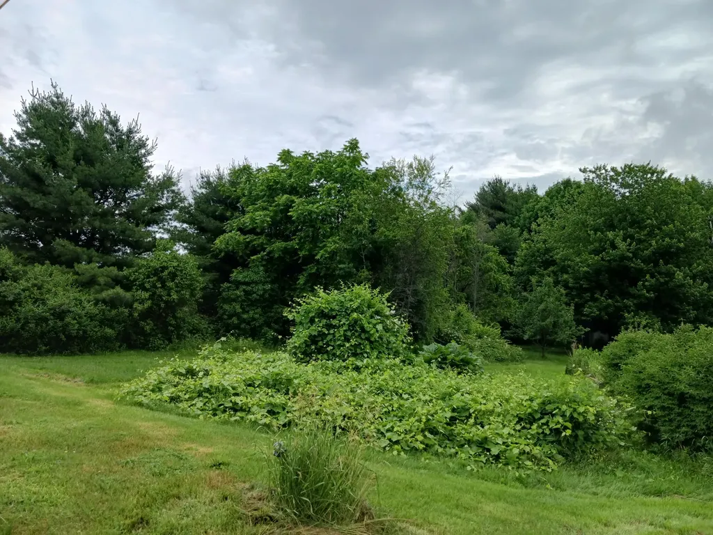 244 Nelson Lane Palermo ME 04354