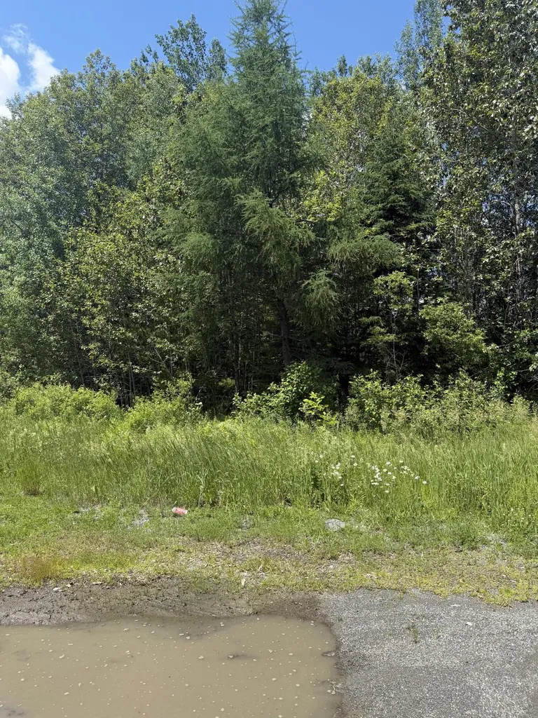 M10L18-9 Milo/hughes Road Sebec ME 04481