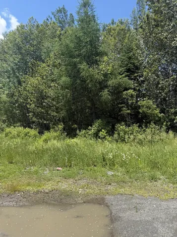M10L18-9 Milo/hughes Road Sebec ME 04481