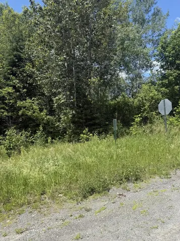 M10L18-9 Milo/hughes Road Sebec ME 04481