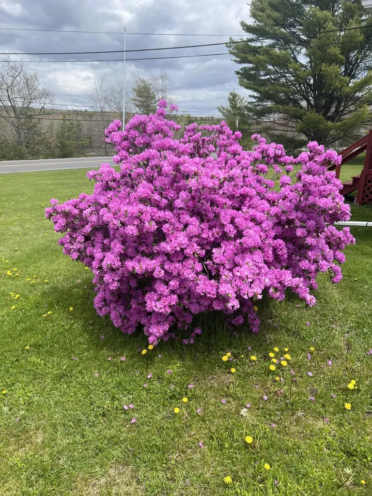270 Middle Road Dresden ME 04342