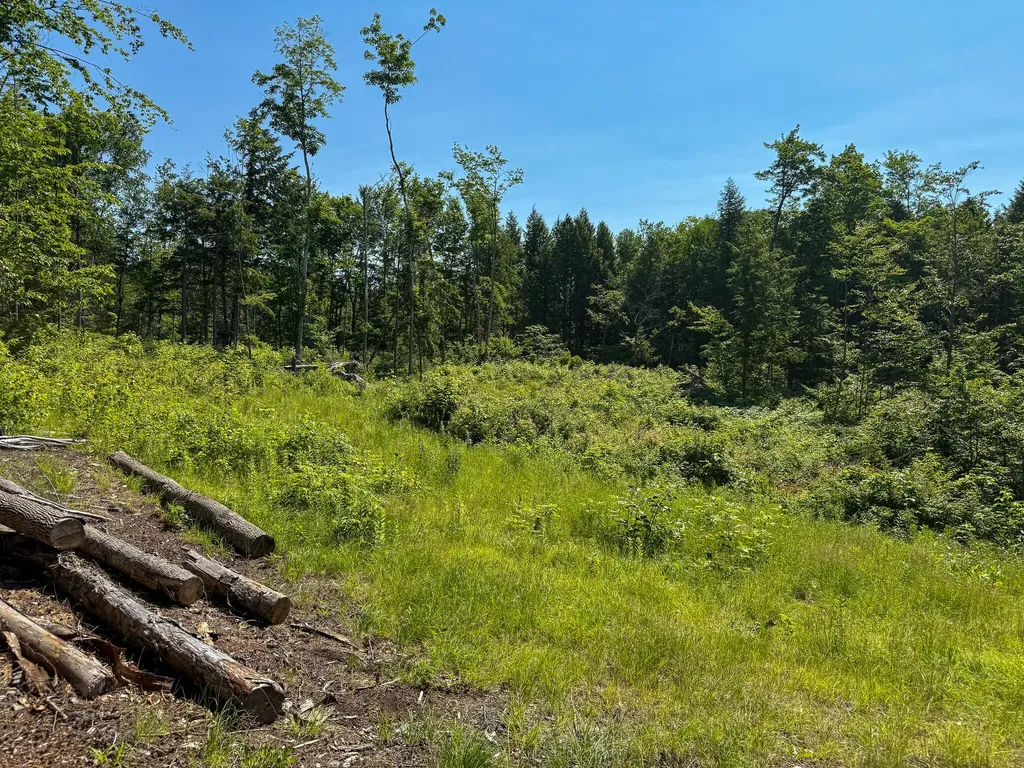 Lot 39b Sawyer Notch Road Andover ME 04216