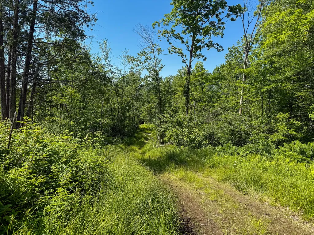 Lot 39b Sawyer Notch Road Andover ME 04216