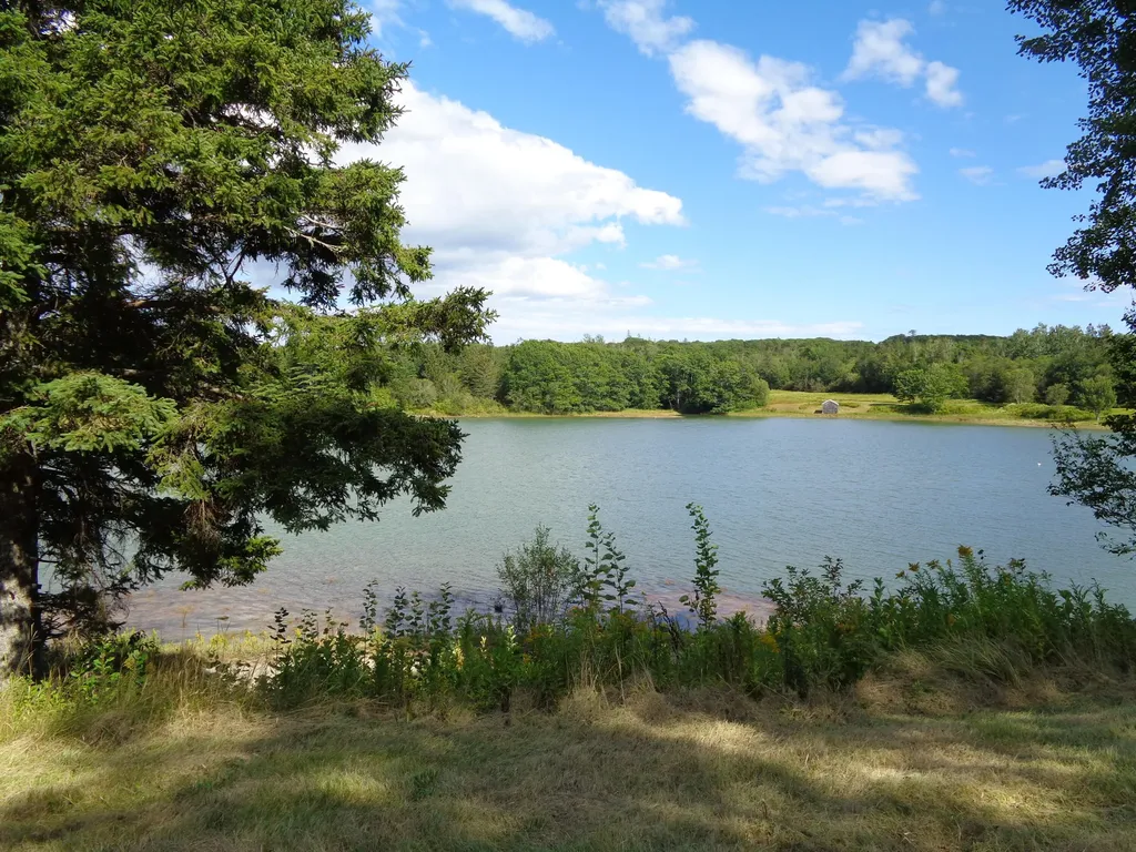 33 Landing Road Steuben ME 04680