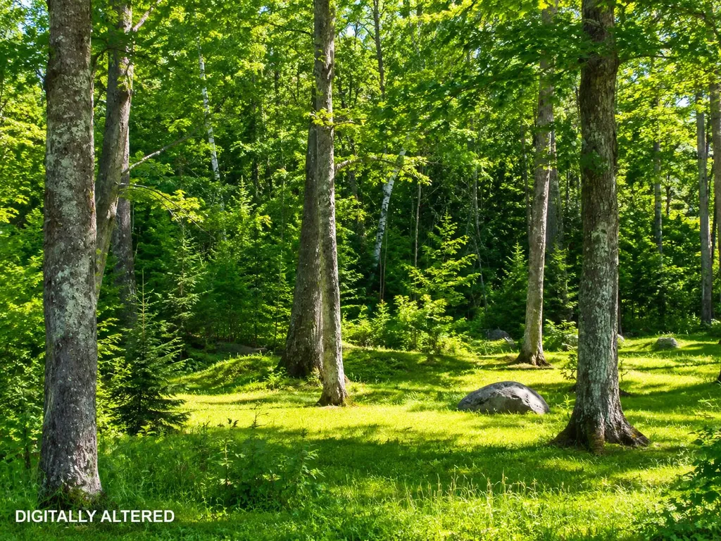 201 Mast Hill Road Bucksport ME 04416