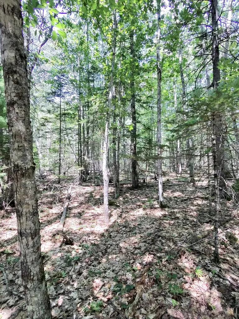 201 Mast Hill Road Bucksport ME 04416
