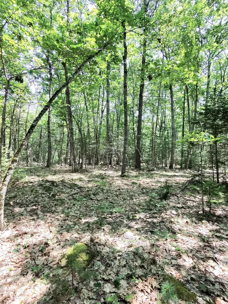 201 Mast Hill Road Bucksport ME 04416